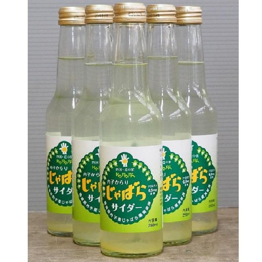 【ふるさと納税】内子からり　じゃばらサイダー（1ケース6本入り） | 飲料 ソフトドリンク 人気 おすすめ 送料無料