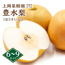 【ふるさと納税】上岡果樹園の豊水梨(ほうすいなし)(2)【6~9玉入り】 | フルーツ 果物 くだもの 食品 人気 おすすめ 送料無料