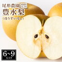 【ふるさと納税】尾形農園の豊水梨(ほうすいなし)(2)【6~9玉入り】 | フルーツ 果物 くだもの 食品 人気 おすすめ 送料無料