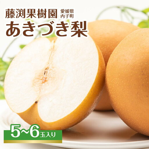 【ふるさと納税】藤渕果樹園のあきづき梨(1)【5~6玉入り】 | フルーツ 果物 くだもの 食品 人気 おすすめ 送料無料 【ふるさと納税】藤渕果樹園のあきづき梨(1)【5~6玉入り】 | フルーツ 果物 くだもの 食品 人気 おすすめ 送料無料