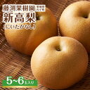 【ふるさと納税】藤渕果樹園の新高梨(にいたかなし)(1)【5~6玉入り】 | フルーツ 果物 くだもの 食品 人気 おすすめ 送料無料