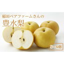 【ふるさと納税】稲田ペアファームの豊水梨(ほうすいなし)(1)【5~6玉入り】 | フルーツ 果物 くだもの 食品 人気 おすすめ 送料無料