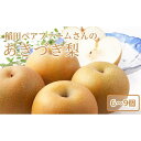 【ふるさと納税】稲田ペアファームのあきづき梨(2)【6~9玉入り】 | フルーツ 果物 くだもの 食品 人気 おすすめ 送料無料