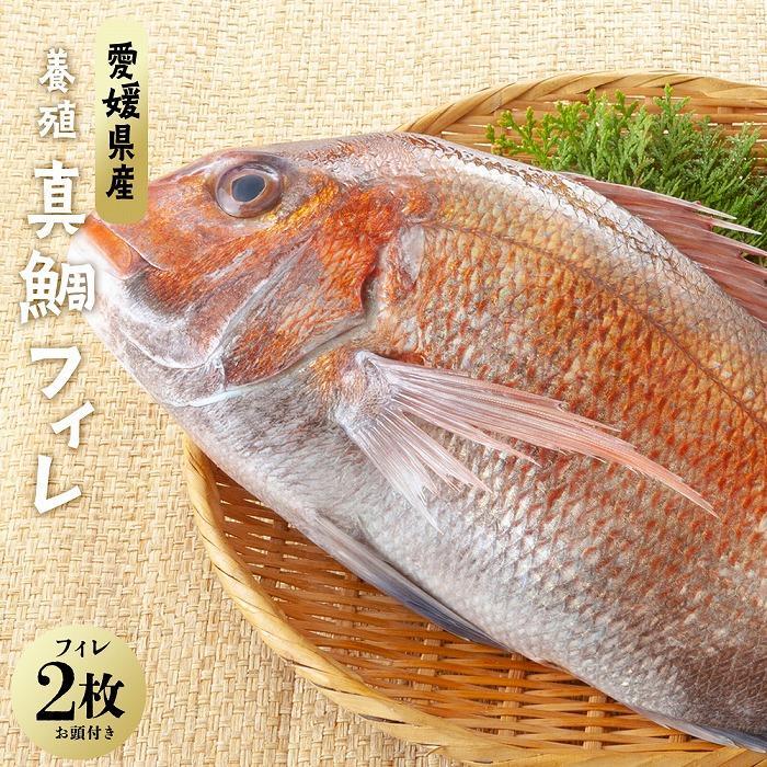 23位! 口コミ数「0件」評価「0」愛媛県産養殖真鯛フィレ2枚（お頭付き冷凍） | 魚 お魚 さかな 食品 人気 おすすめ 送料無料