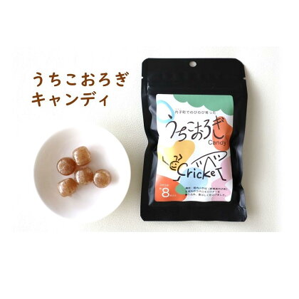 うちこおろぎキャンディセット（40g×7個）【北海道・沖縄・離島配送不可】 | 菓子 おかし 食品 人気 おすすめ 送料無料