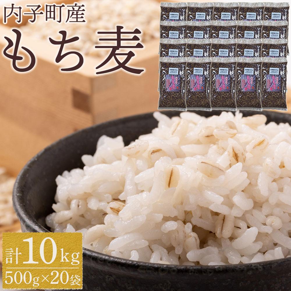 【ふるさと納税】内子町産 もち麦（10kg） | 食品 加工食品 人気 おすすめ 送料無料