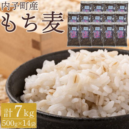 内子町産 もち麦（7kg） | 食品 加工食品 人気 おすすめ 送料無料