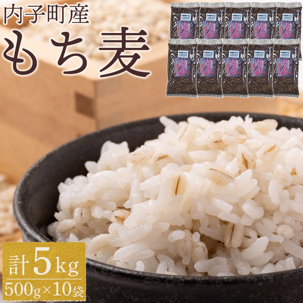 【ふるさと納税】内子町産 もち麦（5kg） | 食品 加工食品 人気 おすすめ 送料無料