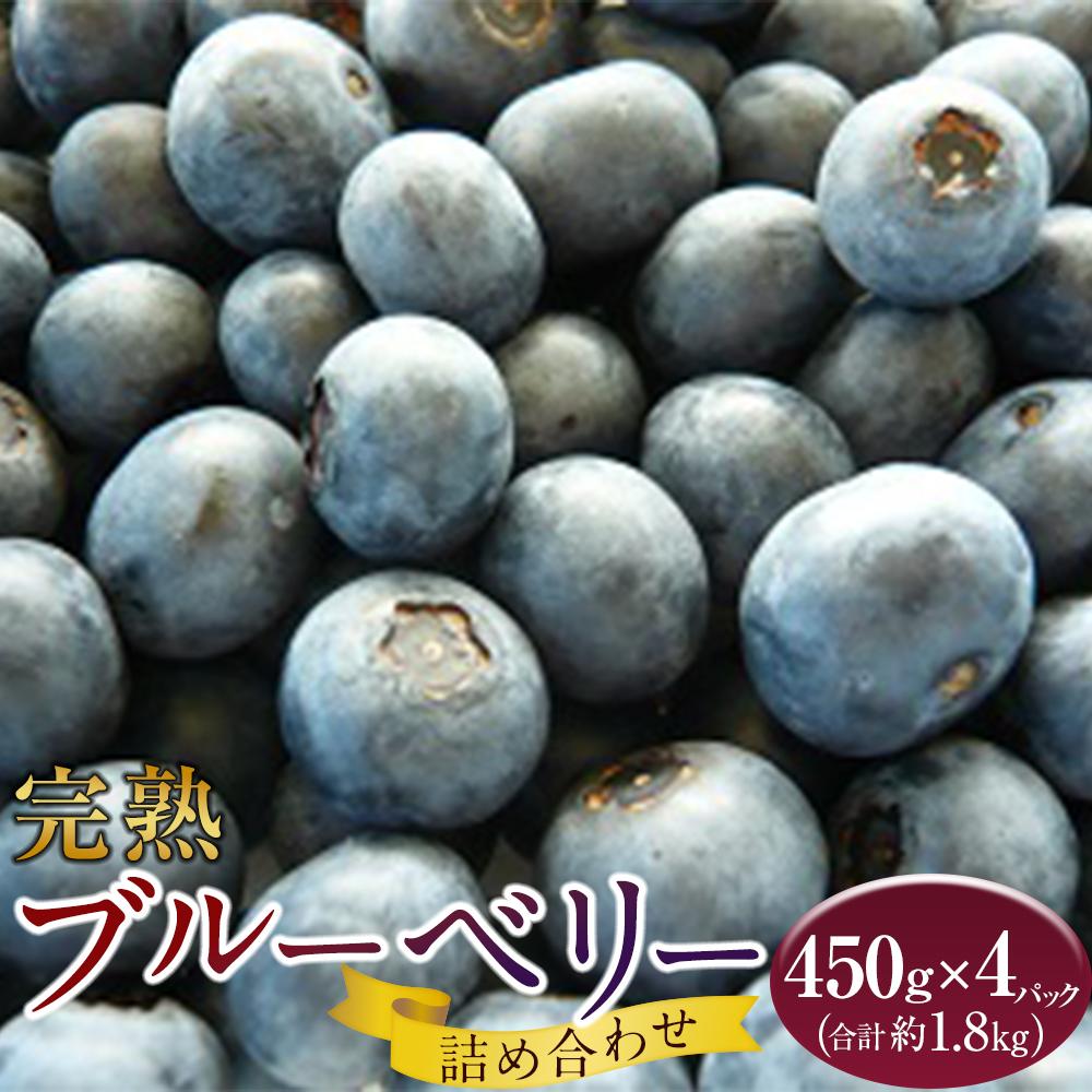 【ふるさと納税】手摘みブルーベリー詰め合わせ(450g×4パック)<2025年7月下旬より発送> | フルーツ 果物 くだもの 食品 人気 おすすめ 送料無料