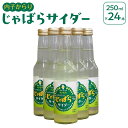 【ふるさと納税】道の駅からり直送!内子からりじゃばらサイダー(1ケース24本入り) | 飲料 ソフトドリンク 人気 おすすめ 送料無料