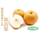 【ふるさと納税】藤渕果樹園の新高梨(にいたかなし)(2)【6~8玉入り】 | フルーツ 果物 くだもの 食品 人気 おすすめ 送料無料