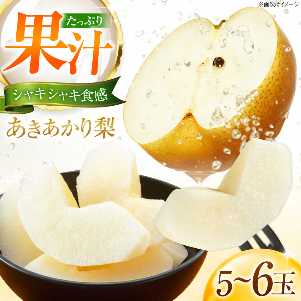 【先行予約】【ふるさと納税】藤渕果樹園のあきあかり梨 5〜6玉 〈2026年8月〜発送〉 ／ 梨 なし ナシ あきあかり あきあかり梨 季節のフルーツ フルーツ ふるーつ 果物 くだもの 食品 人気 おすすめ 旬 贈答 【株式会社内子フレッシュパークからり】[BKAD022] 11000円