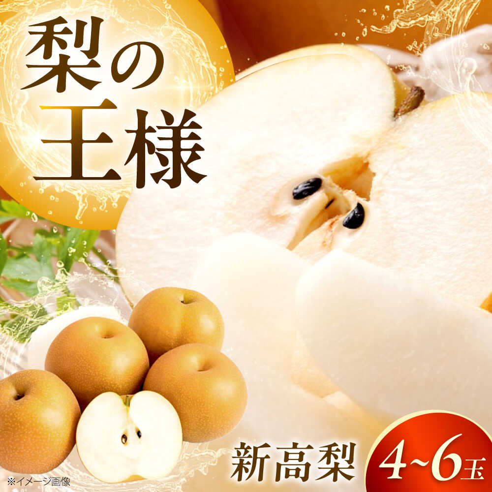 【先行予約】【ふるさと納税】上岡果樹園の新高梨（にいたかなし） 4から6玉入 〈2026年9月から発送〉 ／ 梨 なし 新高梨 新高なし にいたかなし フルーツ 果物 くだもの 食品 人気 おすすめ 和梨 甘い 高糖度 【株式会社内子フレッシュパークからり】[BKAD032] 13000円