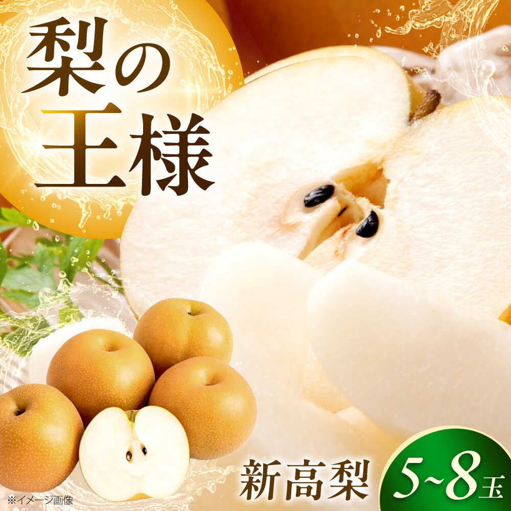 【先行予約】【ふるさと納税】上岡果樹園の新高梨（にいたかなし） 5〜8玉入 〈2026年9月〜発送〉 ／ 梨 なし ナシ 新高梨 新高なし にいたかなし フルーツ 果物 くだもの 食品 人気 おすすめ 和梨 甘い 高糖度 【株式会社内子フレッシュパークからり】[BKAD033] 16000円