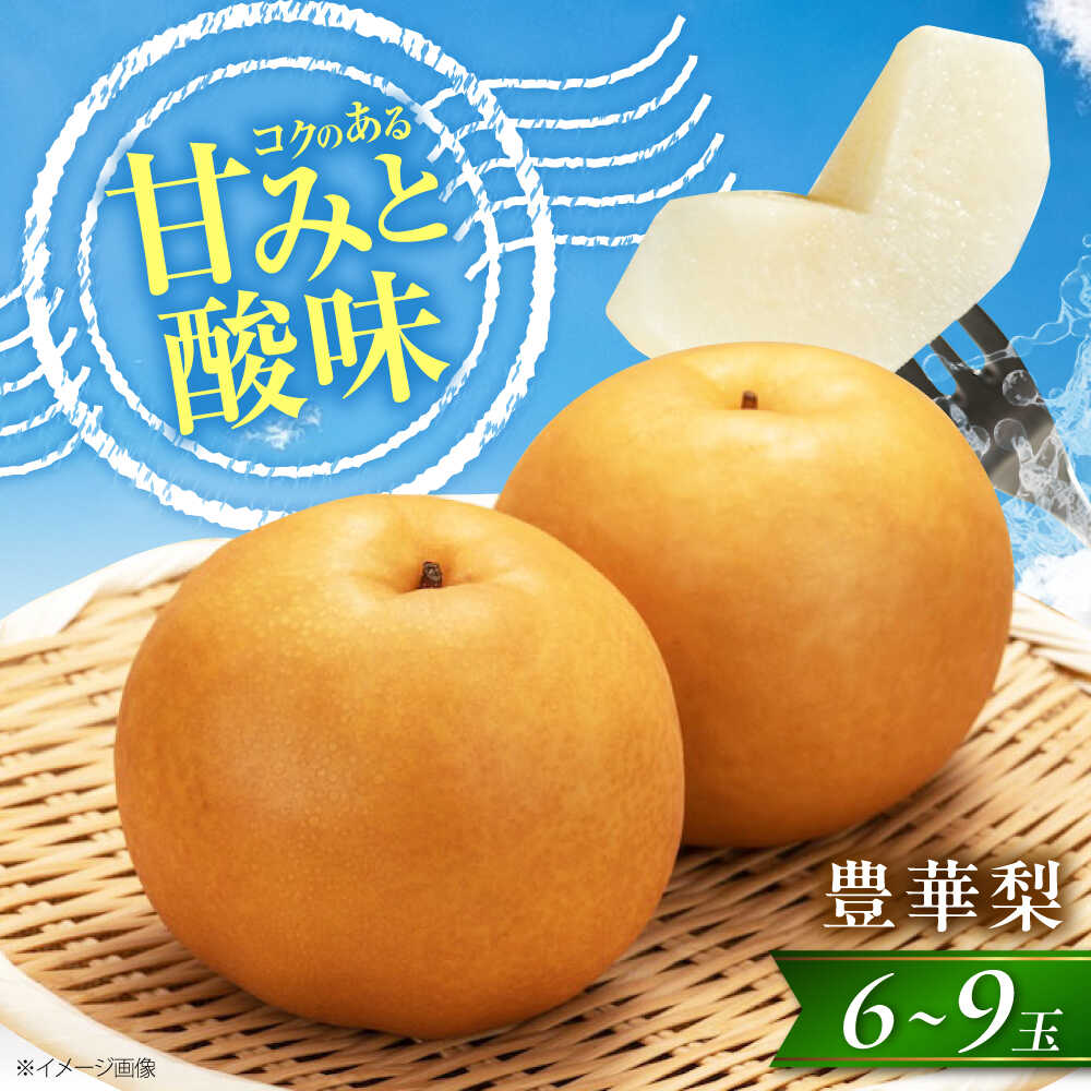 【先行予約】【ふるさと納税】尾形農園の豊華梨(ゆたかなし) 6〜9玉入 〈2026年9月〜発送〉 ／ 梨 なし ナシ 豊華梨 ゆたかなし ゆたか梨 ゆたか フルーツ 果物 くだもの 食品 人気 おすすめ 和梨 甘い 旬 贈答【株式会社内子フレッシュパークからり】[BKAD037] 16000円