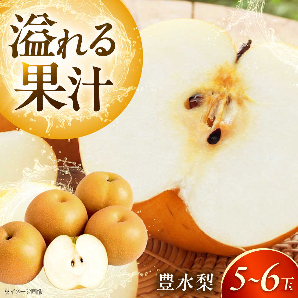 【先行予約】【ふるさと納税】上岡果樹園の豊水梨（ほうすいなし） 5〜6玉入 〈2026年8月〜発送〉 ／ 梨 なし ナシ 豊水梨 ほうすい梨 豊水ナシ フルーツ 果物 くだもの 食品 人気 おすすめ 季節のフルーツ 贈答 【株式会社内子フレッシュパークからり】[BKAD048] 12000円