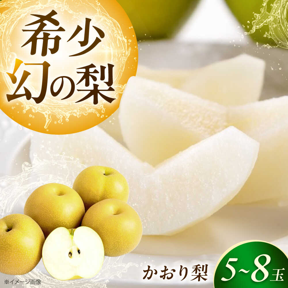 上岡果樹園のかおり梨 5〜8玉入り 〈2026年9月〜発送〉 ／ 梨 なし ナシ かおり梨 フルーツ 果物 くだもの 食品 人気 おすすめ 送料無料 季節のフルーツ デザート 贈答 ギフト プレゼント 【株式会社内子フレッシュパークからり】[BKAD057] 16000 16000円