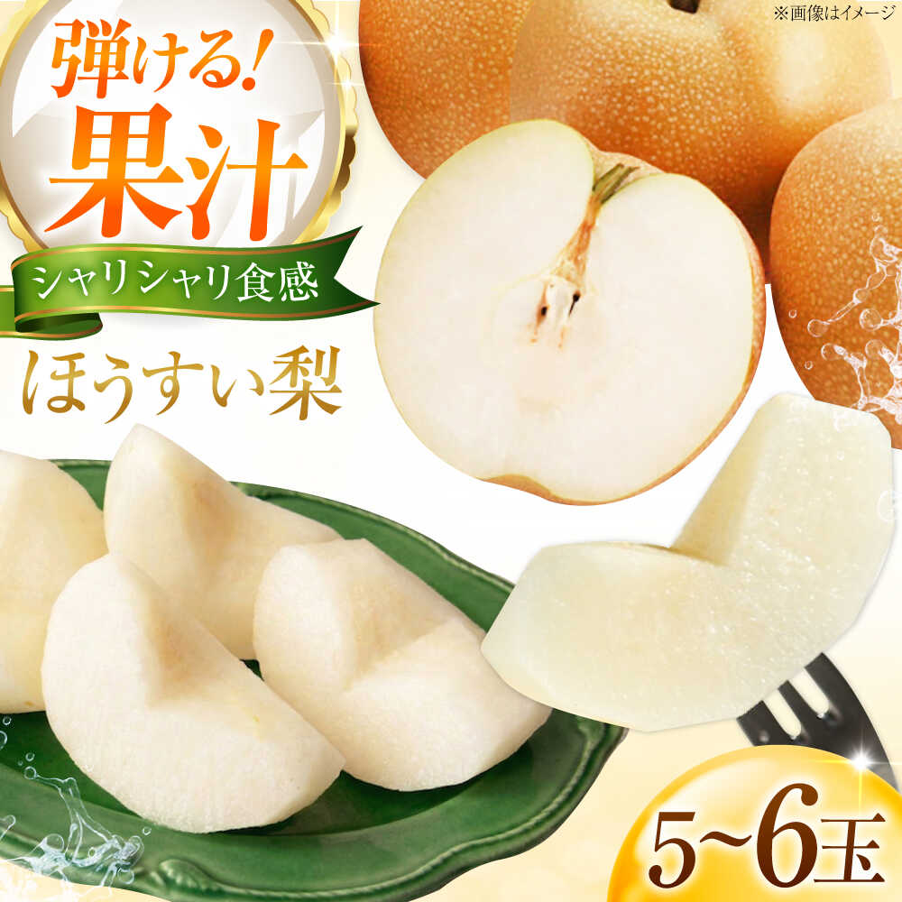 藤渕果樹園の豊水梨（ほうすいなし） 5〜6玉入り 〈2026年8月〜発送〉 ／ 梨 なし ナシ 豊水梨 ほうすい梨 豊水ナシ フルーツ 果物 くだもの 食品 人気 おすすめ 季節のフルーツ ギフト 【株式会社内子フレッシュパークからり】[BKAD062] 11000 11000円