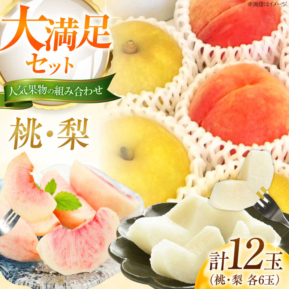 【先行予約】 藤渕果樹園の桃・梨セット 各6玉 〈2026年8月〜発送〉 ／ 桃 もも モモ 梨 なし ナシ セット フルーツセット 季節のフルーツ フルーツ ふるーつ 果物 くだもの 送料無料 人気 【株式会社内子フレッシュパークからり】[BKAD077] 17000 17000円
