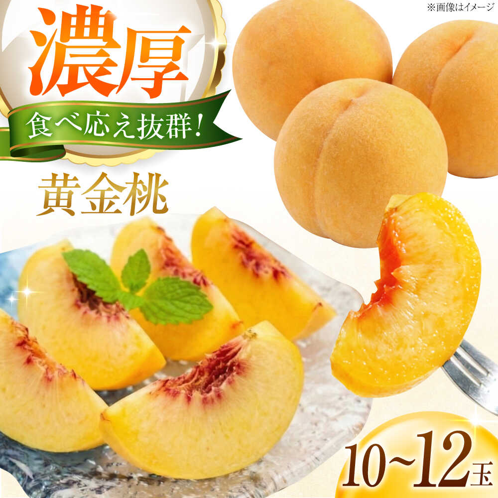 【先行予約】 藤渕果樹園の黄金桃（おうごんとう） 10〜12玉入り 〈2026年8月〜発送〉 ／ 桃 もも モモ 黄金桃 黄桃 季節のフルーツ フルーツ ふるーつ 果物 くだもの 送料無料 人気 ギフト 【株式会社内子フレッシュパークからり】[BKAD080] 18000 18000円
