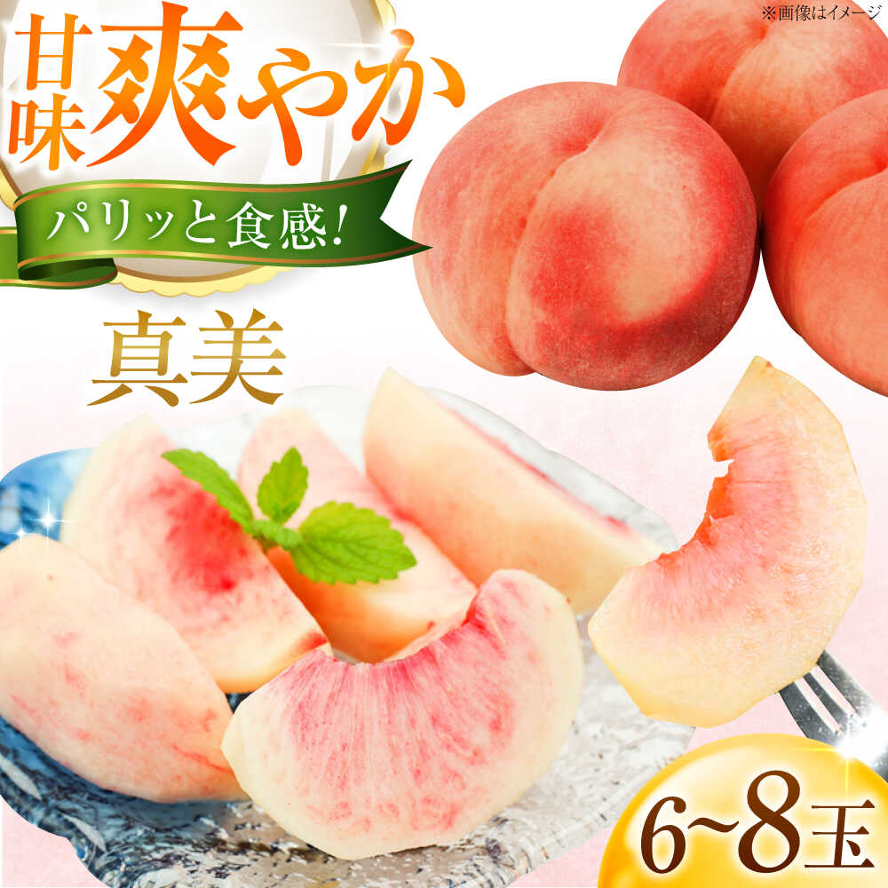 【先行予約】藤渕果樹園の真美(まみ)桃 6〜8玉入り 〈2026年7月下旬〜発送〉／ 桃 モモ もも 真美もも 真美モモ まみもも 季節のフルーツ フルーツ ふるーつ 果物 1箱 くだもの 送料無料 【株式会社内子フレッシュパークからり】[BKAD085] 12000 12000円