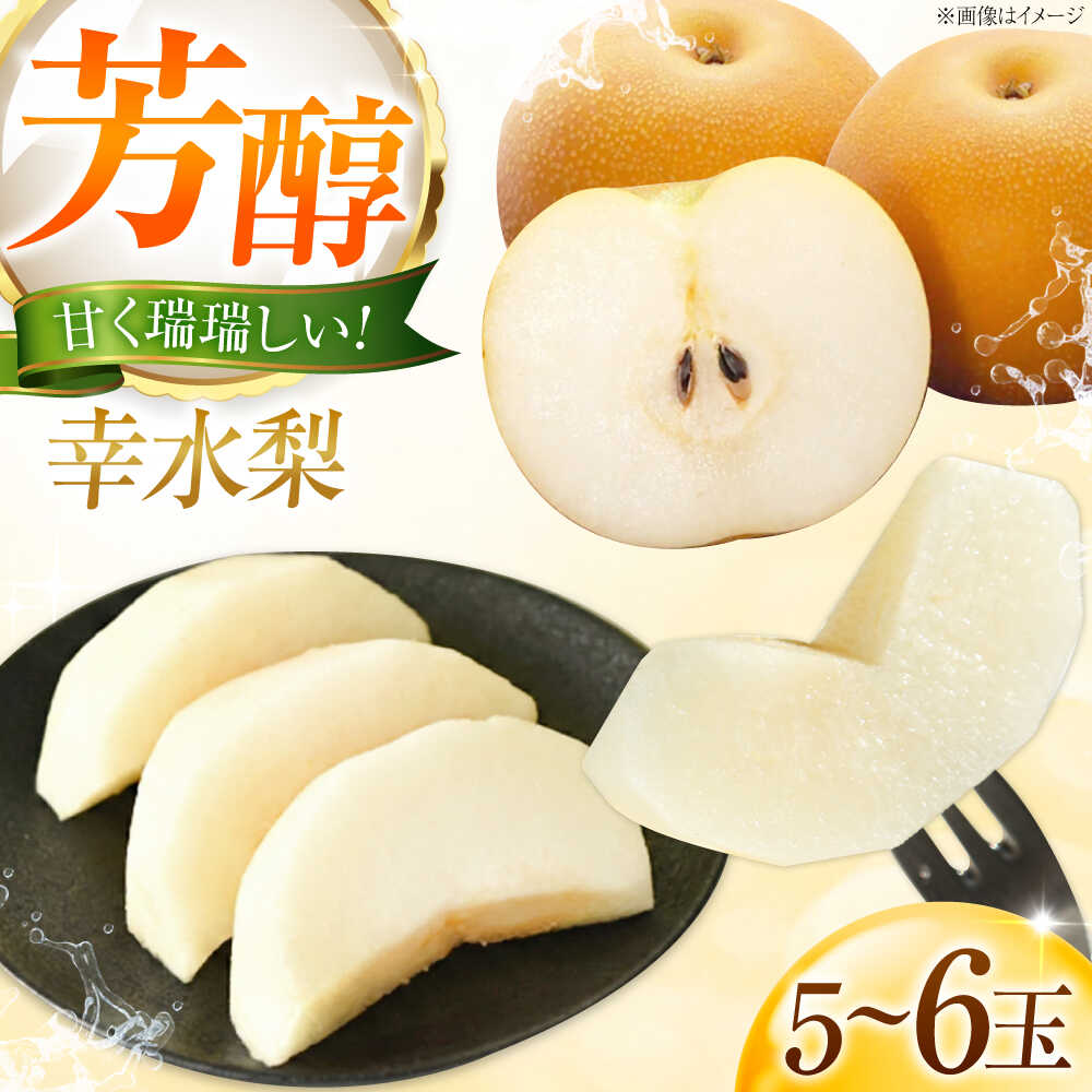 藤渕果樹園の幸水梨(こうすいなし) 5〜6玉入り 〈2026年8月〜発送〉 ／ 梨 なし 幸水梨 こうすい梨 季節のフルーツ フルーツ 果物 くだもの 食品 人気 おすすめ 送料無料 贈答 ギフト 【株式会社内子フレッシュパークからり】[BKAD087] 11000 11000円