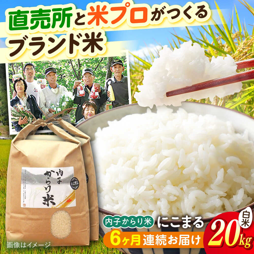【6ヶ月定期便】内子からり米 令和7年産 にこまる 20kg（精米10kg×2袋）／ お米 こめ 白米 精米 食品 令和7年度 にこまる 送料無料 人気 おすすめ コメ ご飯 ごはん 国産米 愛媛米 産地直送 農家直送 【株式会社内子フレッシュパークからり】[BKAD097]