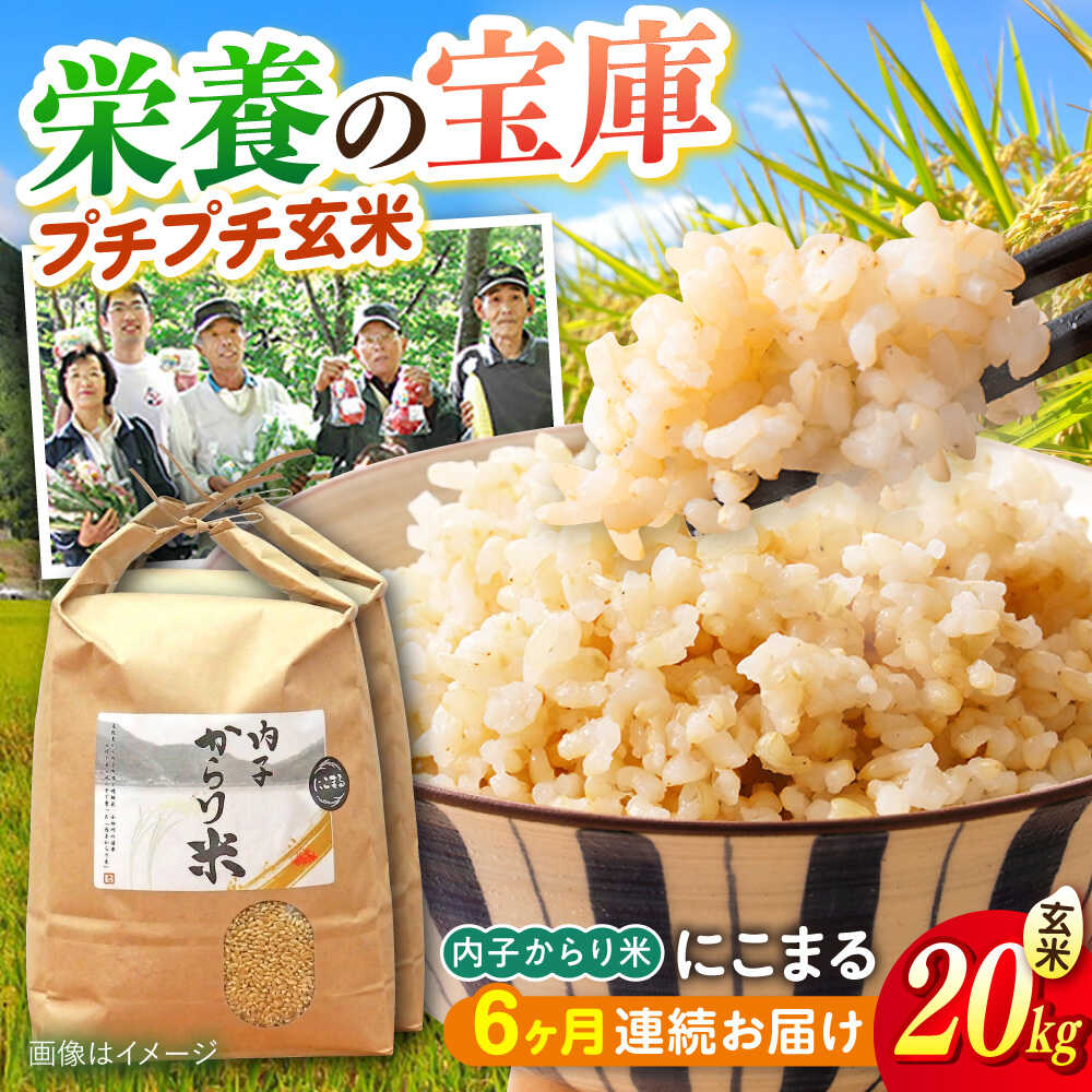 【6ヶ月定期便】令和7年産 内子からり米 にこまる 20kg（玄米10kg×2袋）／ お米 こめ 玄米 精米 食品 令和7年度 にこまる 送料無料 人気 おすすめ コメ ご飯 ごはん 国産米 愛媛米 産地直送 農家直送 【株式会社内子フレッシュパークからり】[BKAD101]