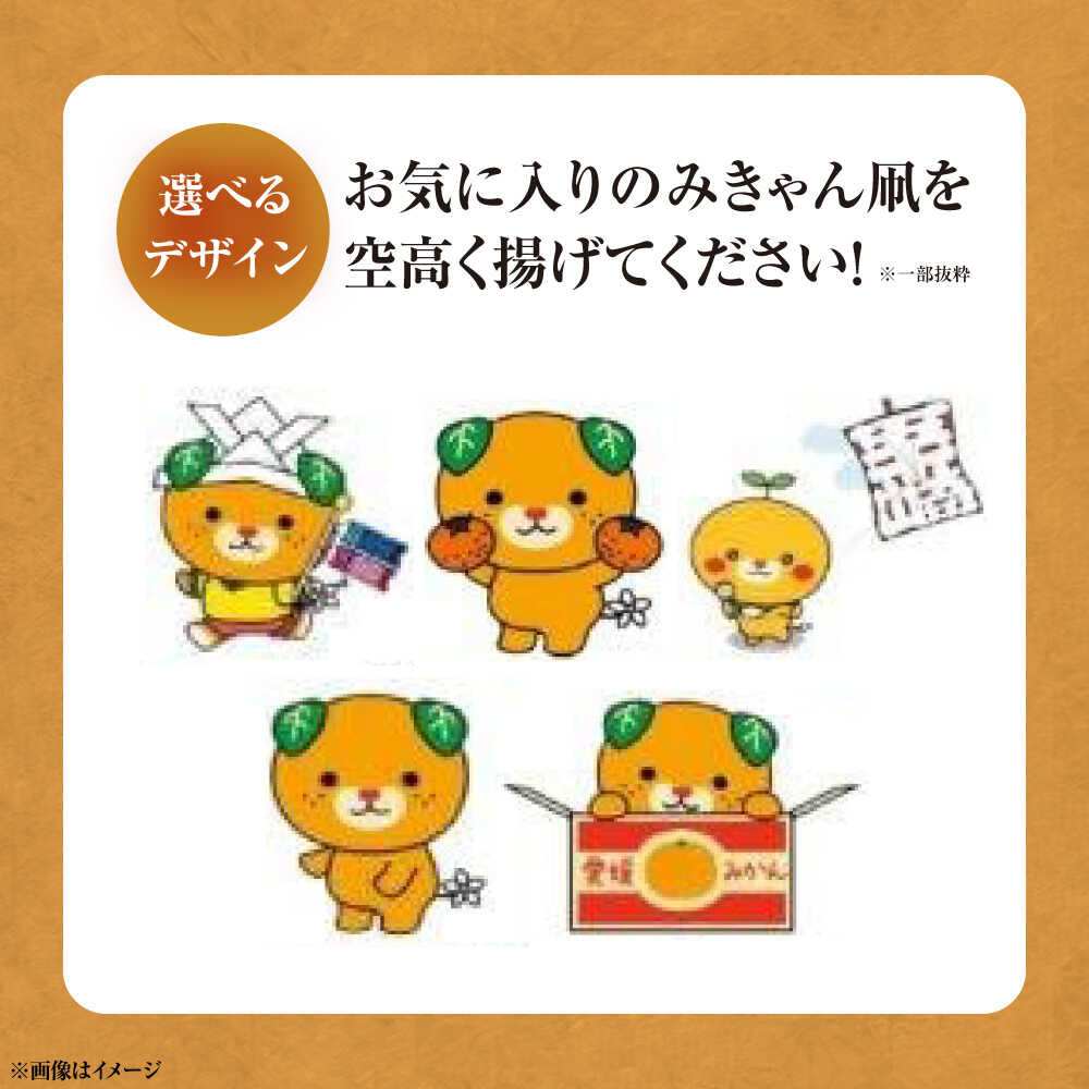 【ふるさと納税】【みきゃんデザイン】 五十崎凧1統・うちわ1枚 ／ 伝統工芸 雑貨 おすすめ 送料無料 人気 たこ カイト 和凧 贈り物 ギフト プレゼント 四国 愛媛県 内子町 タコ 伝統工芸品 民芸品 お祝い 【いかざき大凧合戦実行委員会】[BKBF006] 17000 17000円 f384224-uchiko-10000030 愛媛県内子町 サンプル画像3