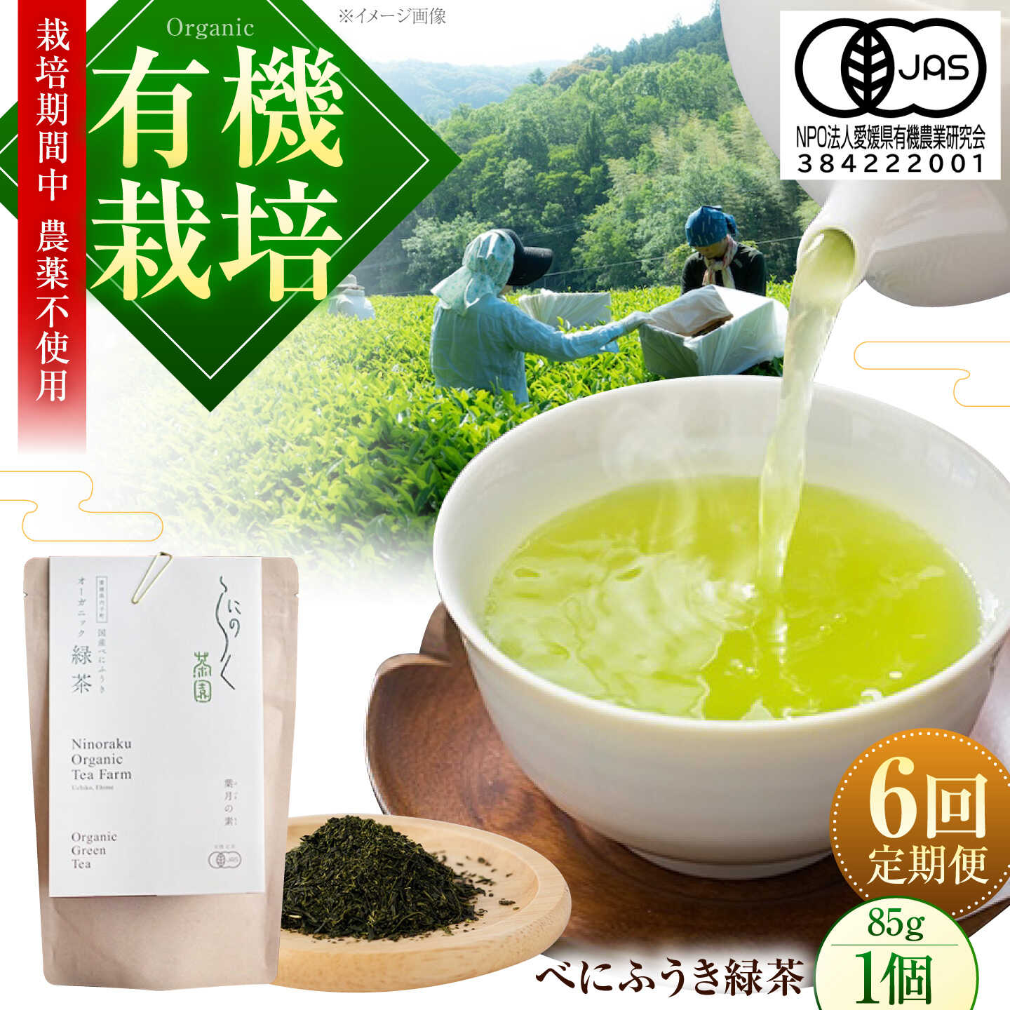 【全6回定期便】オーガニックのべにふうき緑茶 (85g×1個) 愛媛県内子町/にのらく茶園[BKBR008]