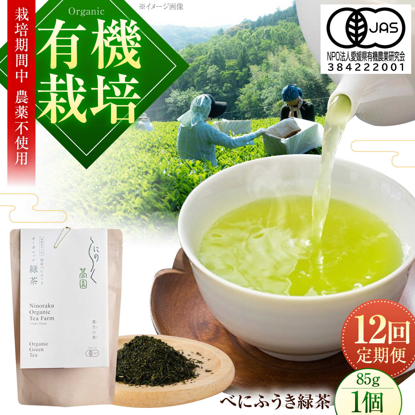 【全12回定期便】オーガニックのべにふうき緑茶 (85g×1個) 愛媛県内子町/にのらく茶園[BKBR009]