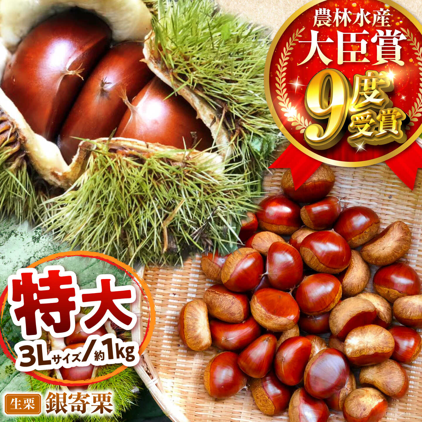 【ふるさと納税】【先行予約】銀寄栗 特大3L 1kg 約30粒 農林水産大臣賞9度受賞 / 栗 くり 和栗 生栗 銀寄 銀寄栗 大粒 特大 3L 栗ご飯 内子町 / 萬奥農園[BKCC001]