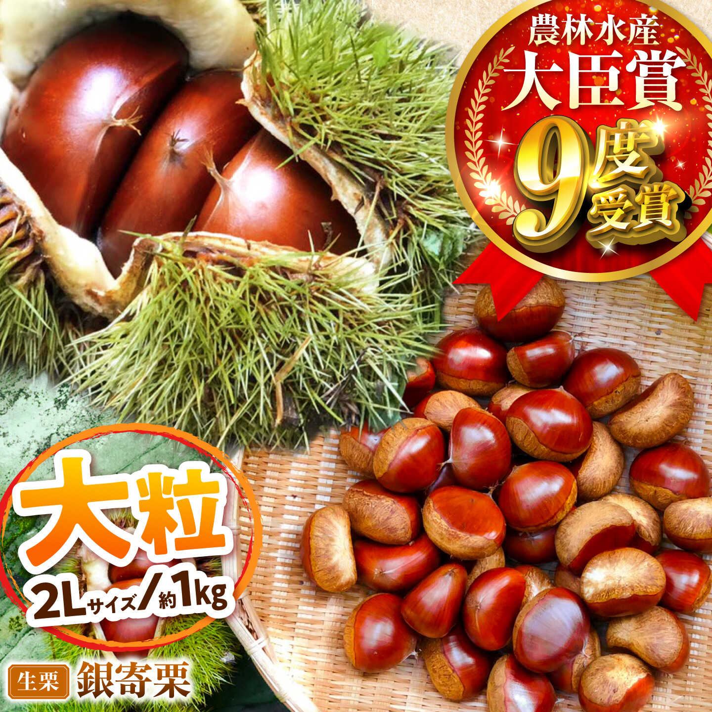 【ふるさと納税】【先行予約】大粒銀寄栗 2L 1kg 約40粒 農林水産大臣賞9度受賞 / 栗 くり 和栗 生栗 銀寄 銀寄栗 大粒 2L 栗ご飯 内子町 / 萬奥農園[BKCC002]