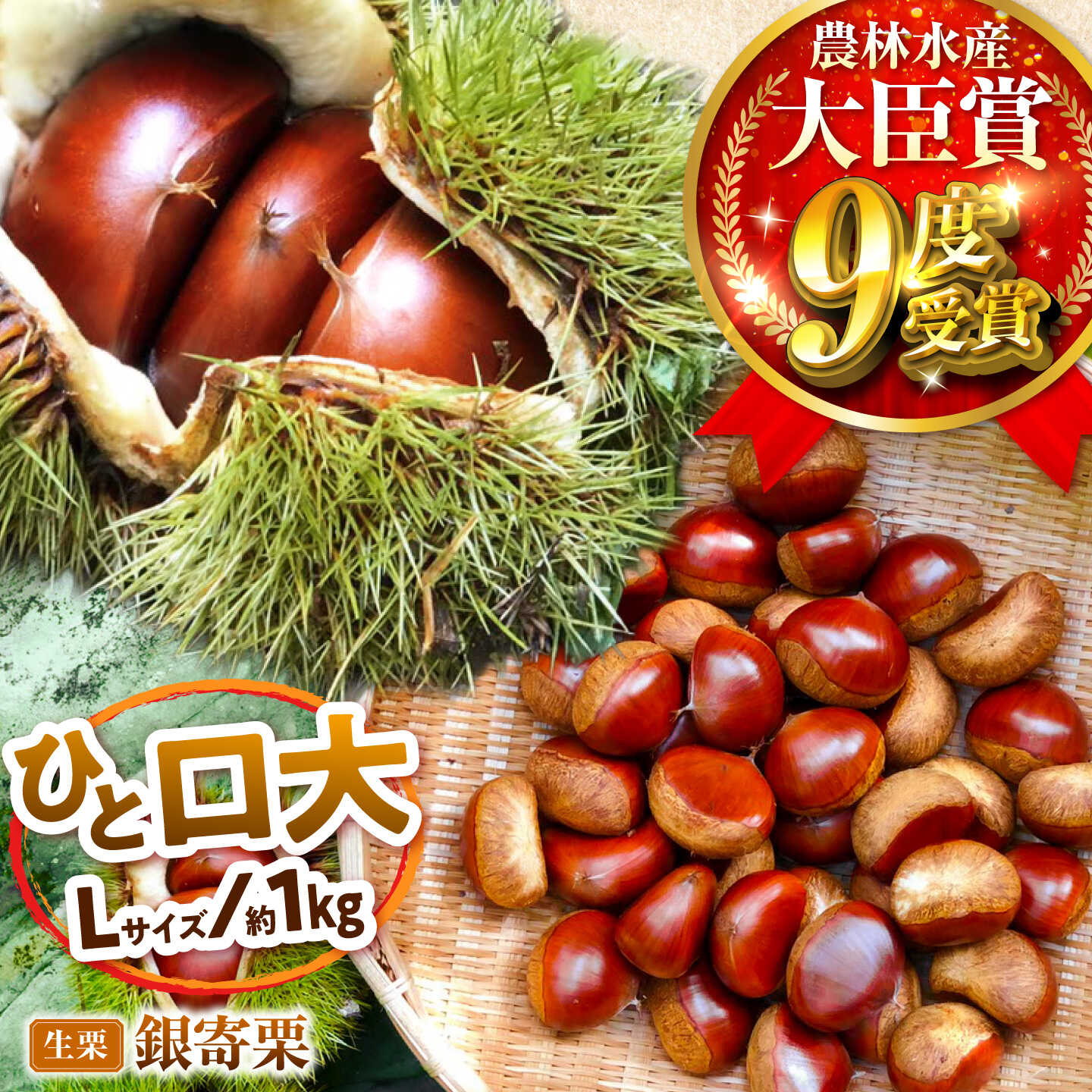 【ふるさと納税】【先行予約】銀寄栗 Lサイズ 1kg 約55粒 農林水産大臣賞9度受賞 / 栗 くり 和栗 生栗 銀寄 銀寄栗 L 栗ご飯 内子町 / 萬奥農園[BKCC003]