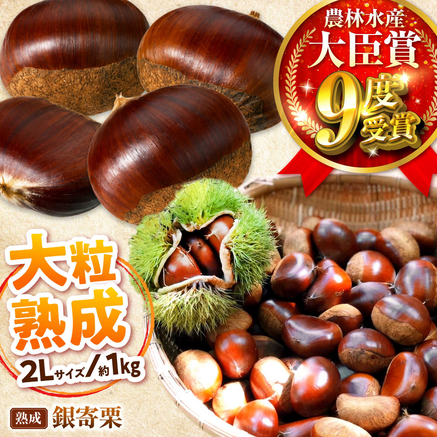 【先行予約】大粒熟成栗 2L 1kg 約40粒 農林水産大臣賞9度受賞 / 栗 くり 和栗 熟成栗 氷温熟成 銀寄 銀寄栗 大粒 2L 栗ご飯 内子町 / 萬奥農園[BKCC004]