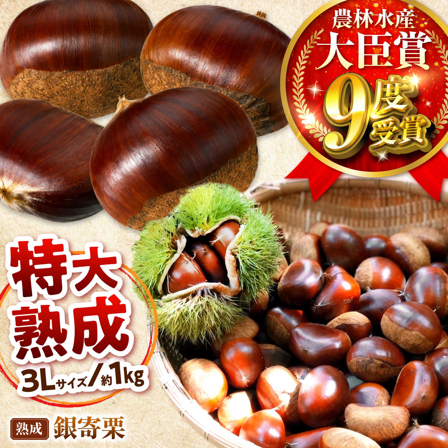 【先行予約】特大熟成栗 3L 1kg 約30粒 農林水産大臣賞9度受賞 / 栗 くり 和栗 熟成栗 氷温熟成 銀寄 銀寄栗 大粒 特大 3L 栗ご飯 内子町 / 萬奥農園[BKCC005]