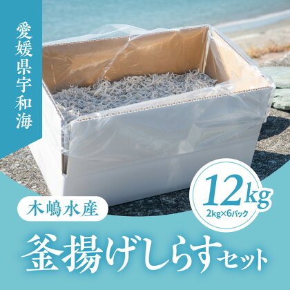 【愛媛県・佐田岬直送】木嶋水産の釜揚げしらす（2kg×6パックセット）※着日指定不可※離島への配送不可