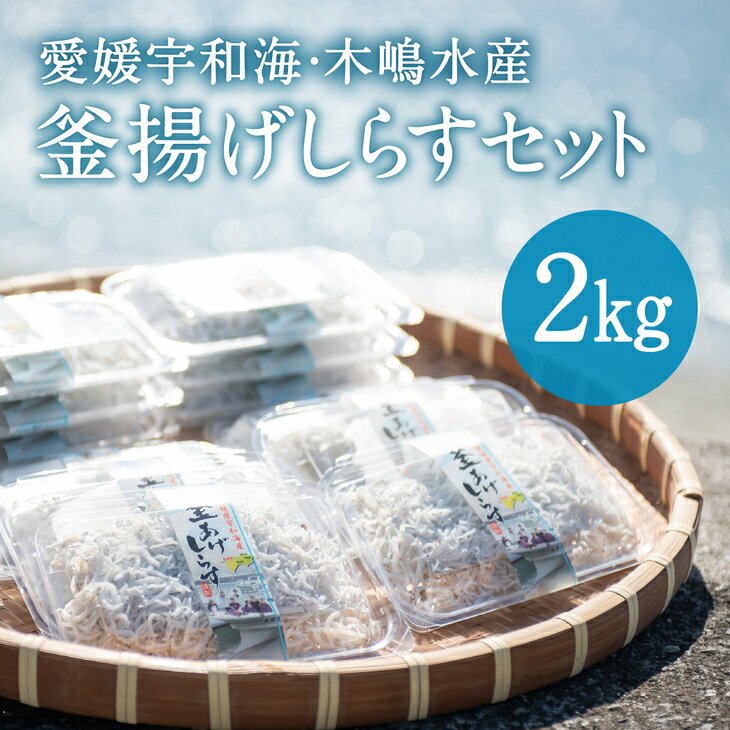 50位! 口コミ数「22件」評価「4.77」【愛媛県・佐田岬直送】木嶋水産の釜揚げしらす（250g×8パック）※着日指定不可※離島への配送不可