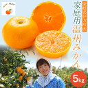 1位! 口コミ数「0件」評価「0」【先行予約】【家庭用】温州みかん 5kg ※北海道・沖縄・離島への配送不可 (2025年12月1日より順次発送予定) 【 ふるさと納税 人気 おすすめ ランキング 柑橘 みかん ミカン フルーツ 温州・・・