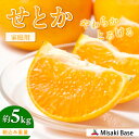 【ふるさと納税】【先行予約】【家庭用】せとか 約5kg ※離島への配送不可(2026年3月より順次発送)【 人気 おすすめ ランキング みかん 柑橘 ミカン 蜜柑 mikan 果物 フルーツ 糖度 甘い せとか 家庭用 おすそ分け Misaki Base 愛媛県 伊方町 送料無料 】 IKTAB001