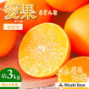 【ふるさと納税】【先行予約】【家庭用】愛果28号 約3kg ※離島への配送不可(2025年12月より順次発送)【 人気 おすすめ ランキング みかん 柑橘 ミカン 蜜柑 mikan 果物 フルーツ 愛果28号 糖度 甘い 家庭用 おすそ分け Misaki Base 愛媛県 伊方町 送料無料 】 IKTAB002
