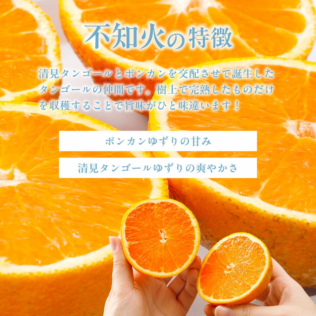 【ふるさと納税】【先行受付】【家庭用】不知火（しらぬい） 5kg ※離島への配送不可（2026年2月中旬より順次発送）【 人気 おすすめ ランキング みかん 柑橘 ミカン 蜜柑 mikan 果物 不知火 しらぬい フルーツ 糖度 でこぽん デコポン でこぽんと同品種 家庭 】 IKTAB003