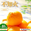 【ふるさと納税】 【先行受付】【家庭用】不知火(しらぬい) 10kg ※離島への配送不可 (2026年2月中旬より順次発送) 【 人気 おすすめ ランキング み...