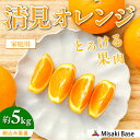 【ふるさと納税】【先行受付】【家庭用】清見オレンジ 5kg ※離島への配送不可 (2026年3月中旬より順次発送) 【 人気 おすすめ ランキング みかん 柑橘 ミカン 蜜柑 mikan 果物 清見 清見オレンジ フルーツ 糖度 甘い きよみ タンゴール 温州 オレンジ 】 IKTAB007