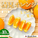 【ふるさと納税】【先行受付】【家庭用】清見オレンジ 10kg ※離島への配送不可 (2026年3月中旬より順次発送) 【 人気 おすすめ ランキング みかん 柑...