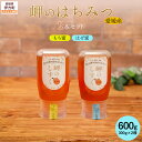 【ふるさと納税】 【はぜみつ・もちみつセット】岬のはちみつ2本セット 【ふるさと納税 人気 おすすめ ランキング はちみつ ハチミツ 蜂蜜 みつ 蜜 ミツ セッ...