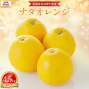 【ふるさと納税】 【先行予約】【農家直送】愛媛県産 ナダオレンジ 贈答用 4.5kg(2025年5月中旬より順次発送)【 ふるさと納税 人気 おすすめ ランキング 柑橘 みかん 果物 フルーツ 河内晩柑 オレンジ 贈答 贈り物 贈答用 ギフト 愛媛県 伊方町 送料無料 】 IKTC012
