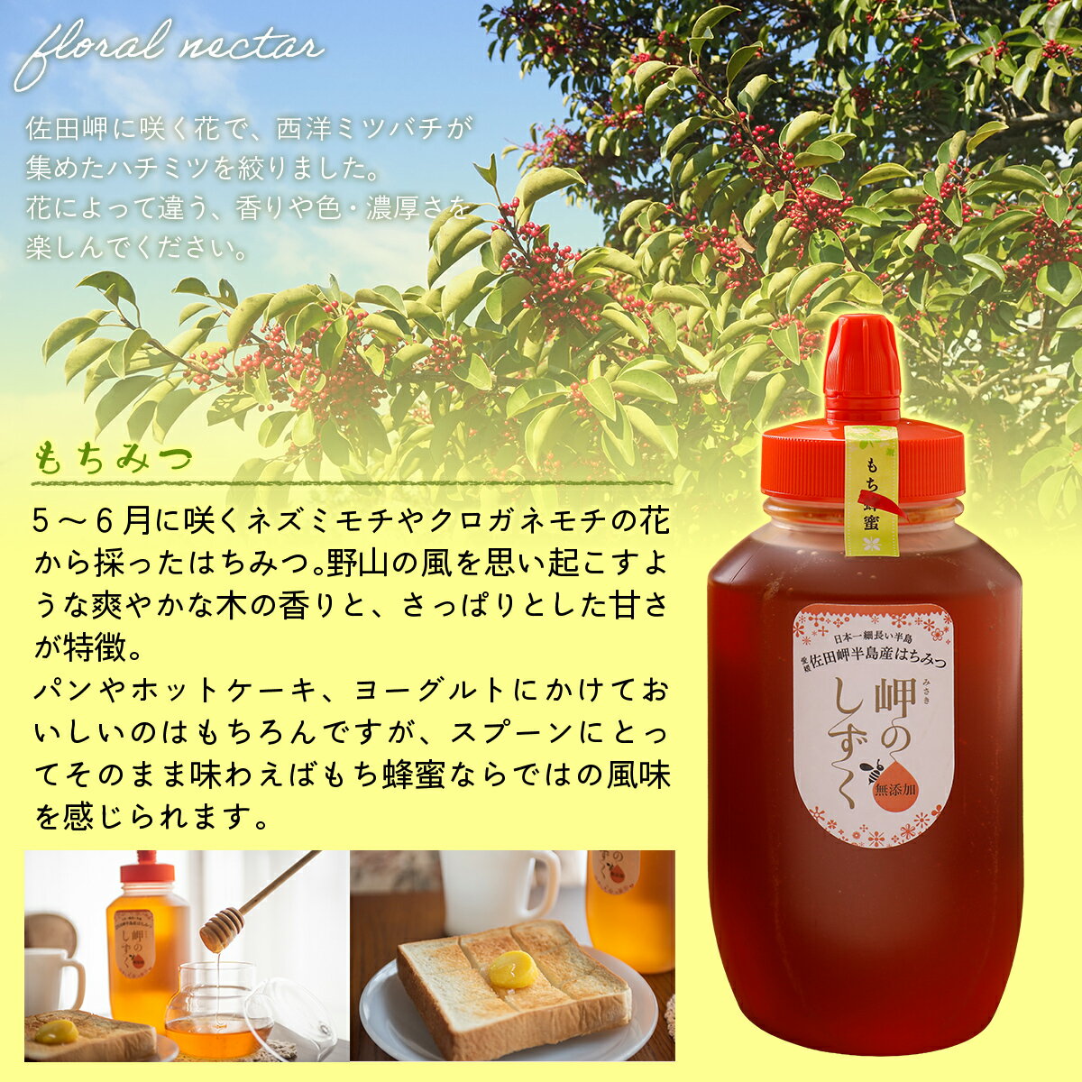 愛媛県伊方町の画像3