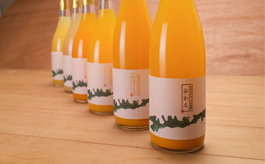 【ふるさと納税】【愛媛県産】田縁農園の無添加100% ストレートジュース6種おまかせセット 720ml 全8種 【ふるさと納税 人気 おすすめ ジュース みかんジュース オレンジジュース みかん オレンジ フルーツ 果物 セット 贈り物 ギフト 愛媛県 伊方町 送料無料】 IKTA022
