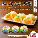 【ふるさと納税】みっちゃん大福(温州みかん、灘オレンジ、岬まどんな)各種2個セット 【ふるさと納税 人気 おすすめ ランキング 大福 みっちゃん大福 温州みかん ナダオレンジ 岬まどんな お土産 セット 詰合せ 贈答 贈り物 ギフト 田村菓子舗 愛媛県 】 IKTK004(4)